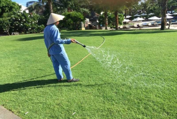 hinh-anh-ky-thuat-cham-soc-co-san-golf